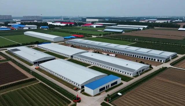 权利归属中技术转让的使用与维护建议